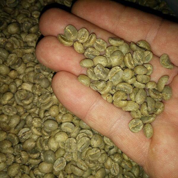 Private Label 5 LBS Green Coffee Beans
